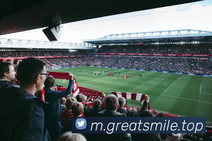 米乐m6平台生态图